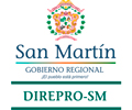 Convocatoria DIREPRO SAN MARTÍN