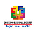  Convocatoria REDES INTEGRADAS SALUD LIMA - SUR